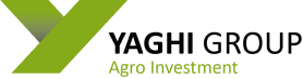 Yaghi Group