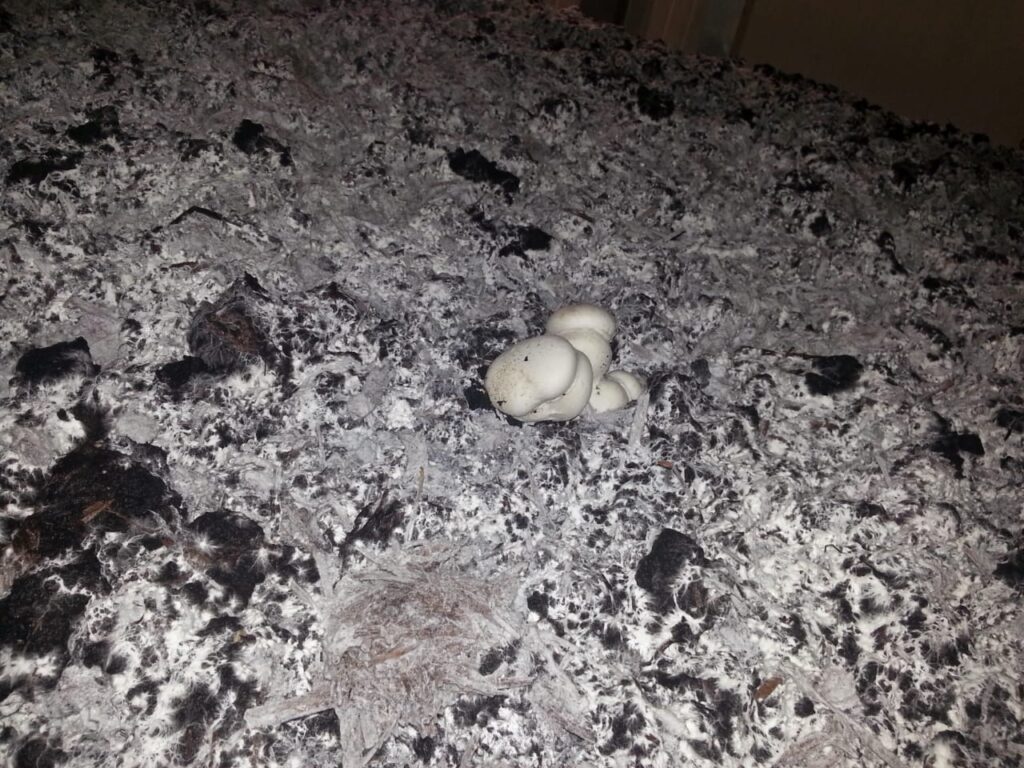 9629f0f1-1011-4dfa-8285-ea351c0813fd