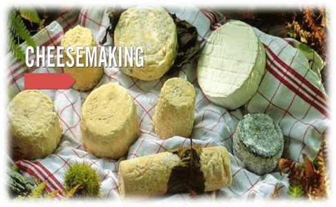 Cheese swipe 1 1 (1)