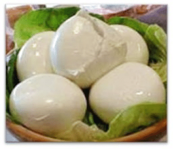 Fresh Mozzarella 1 (1)