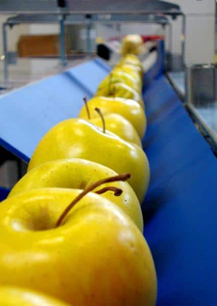 apple-prealign-grading