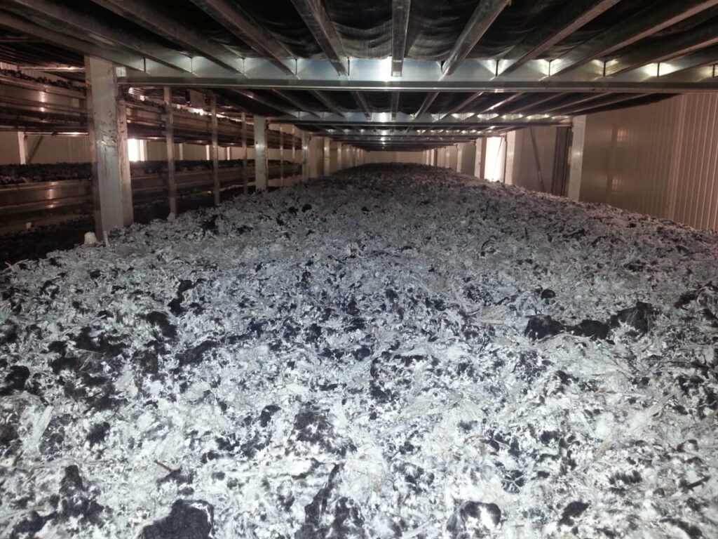 b8f4720b-fba5-432d-9aa5-b10a998680d2